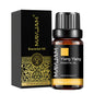Óleo Aromático para Difusor 10 ml | Vários Aromas: Lavanda, Baunilha, Eucalipto e Mais