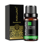 Óleo Aromático para Difusor 10 ml | Vários Aromas: Lavanda, Baunilha, Eucalipto e Mais
