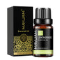 Óleo Aromático para Difusor 10 ml | Vários Aromas: Lavanda, Baunilha, Eucalipto e Mais