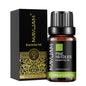 Óleo Aromático para Difusor 10 ml | Vários Aromas: Lavanda, Baunilha, Eucalipto e Mais