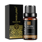 Óleo Aromático para Difusor 10 ml | Vários Aromas: Lavanda, Baunilha, Eucalipto e Mais