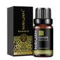 Óleo Aromático para Difusor 10 ml | Vários Aromas: Lavanda, Baunilha, Eucalipto e Mais