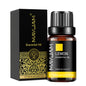 Óleo Aromático para Difusor 10 ml | Vários Aromas: Lavanda, Baunilha, Eucalipto e Mais