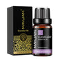 Óleo Aromático para Difusor 10 ml | Vários Aromas: Lavanda, Baunilha, Eucalipto e Mais