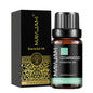 Óleo Aromático para Difusor 10 ml | Vários Aromas: Lavanda, Baunilha, Eucalipto e Mais