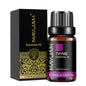 Óleo Aromático para Difusor 10 ml | Vários Aromas: Lavanda, Baunilha, Eucalipto e Mais